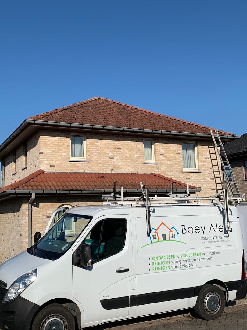 Alex Boey BV - Dakontmossing en meer in Lichtervelde